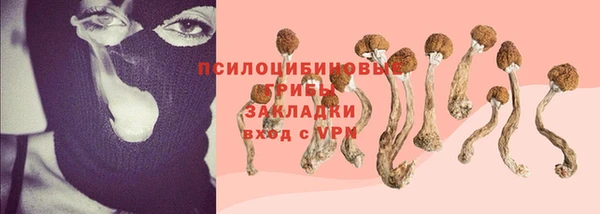 скорость Алексин